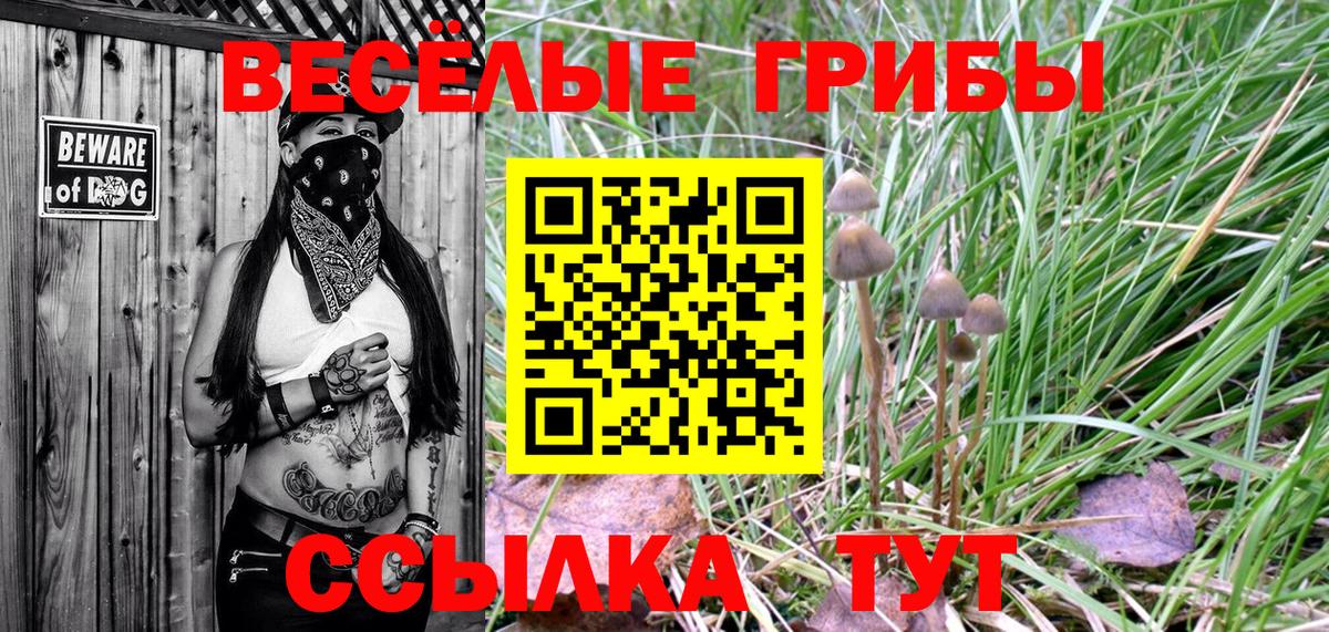 Псилоцибиновые грибы Magic Shrooms Бугульма