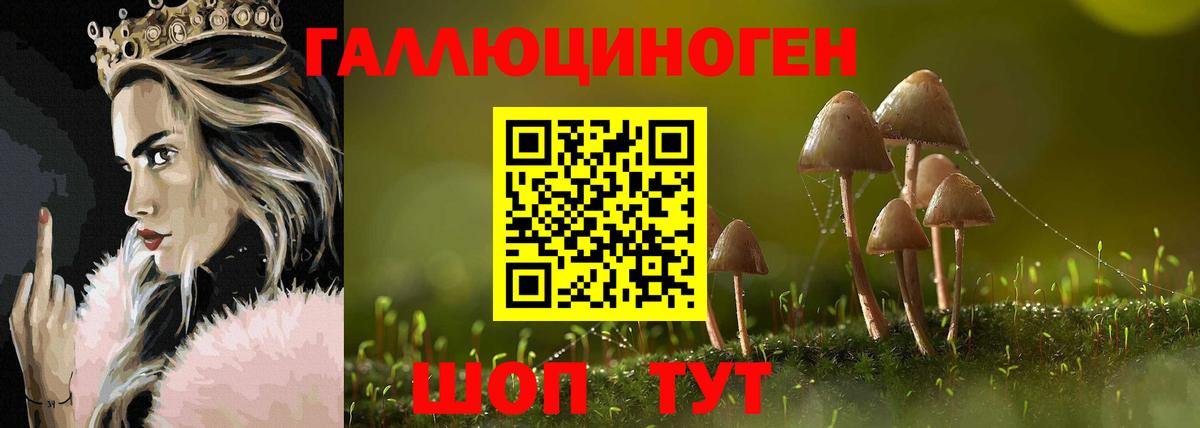 Псилоцибиновые грибы MAGIC MUSHROOMS  Бугульма  Галлюциногенные грибы Psilocybe 